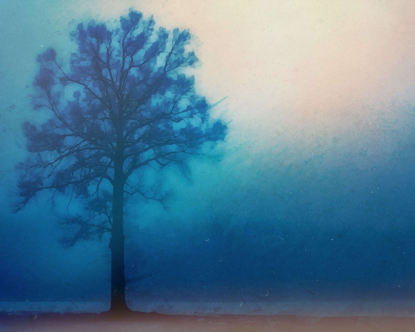 A Lonely Tree