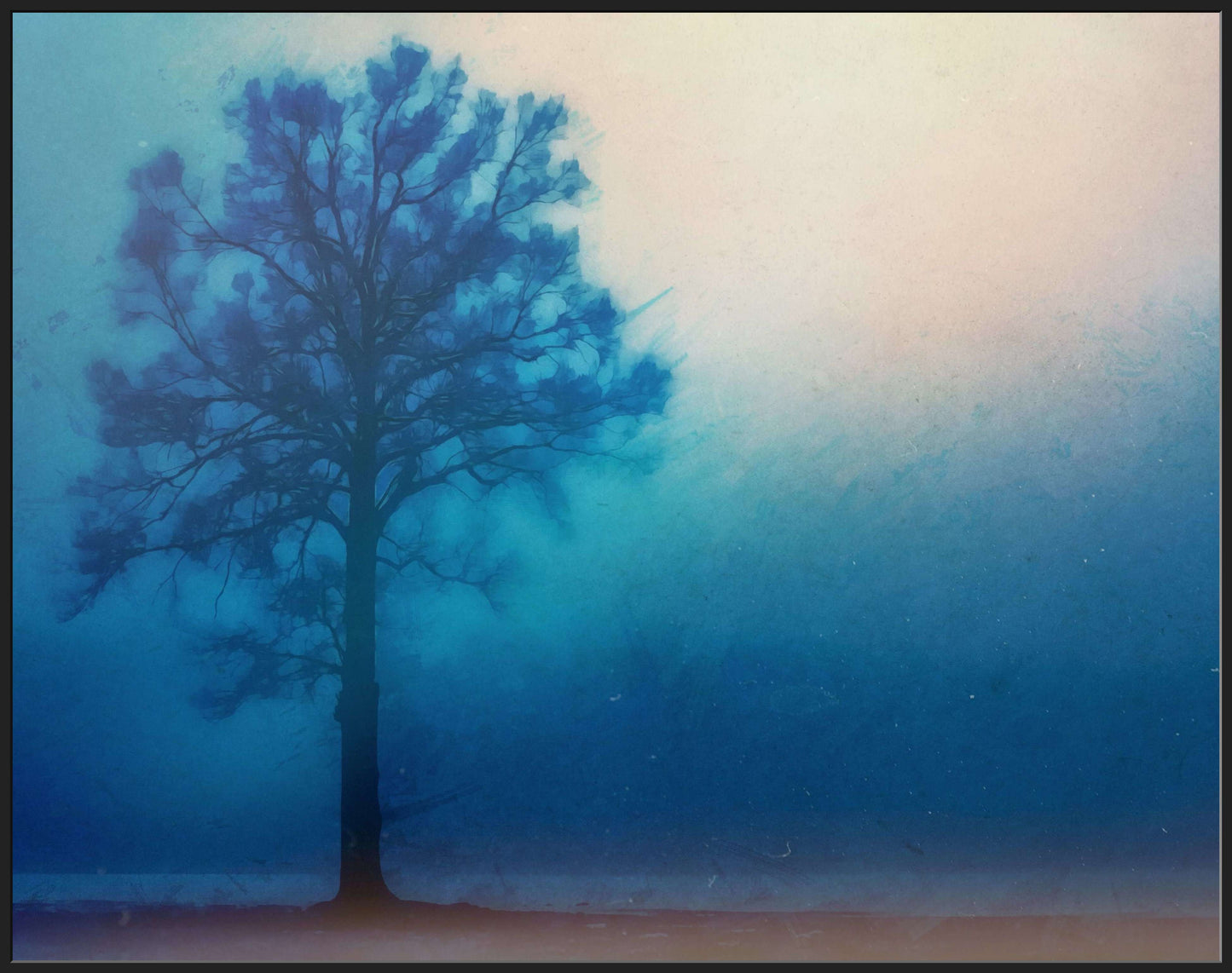 A Lonely Tree