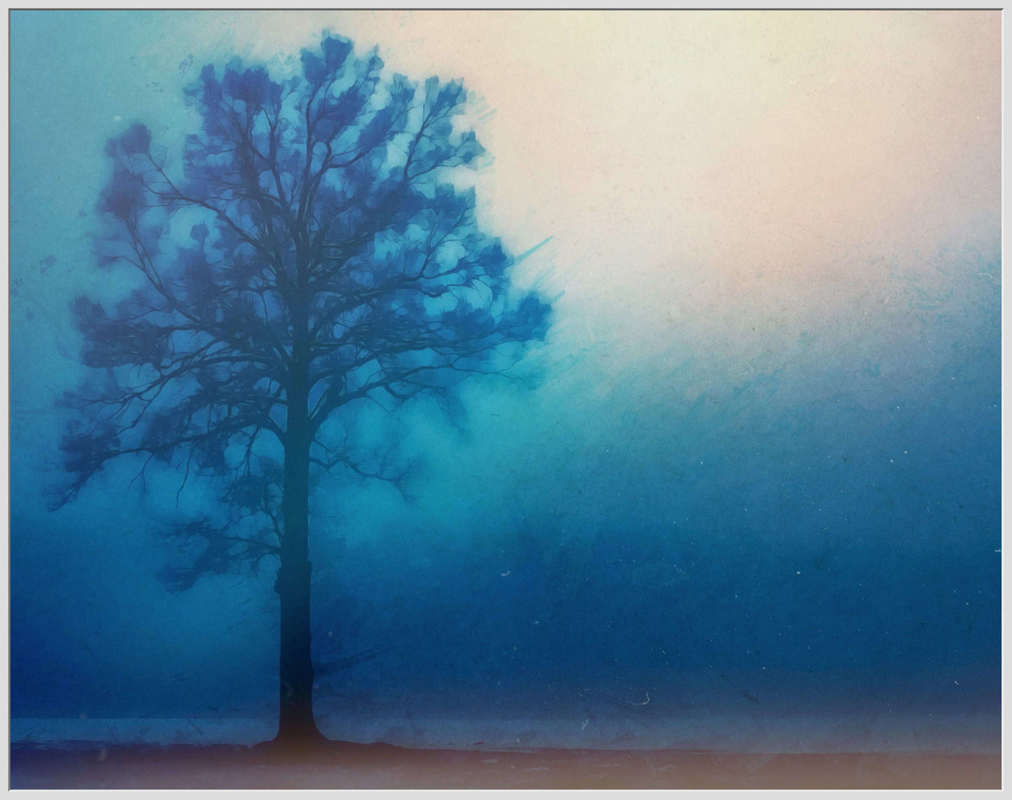 A Lonely Tree
