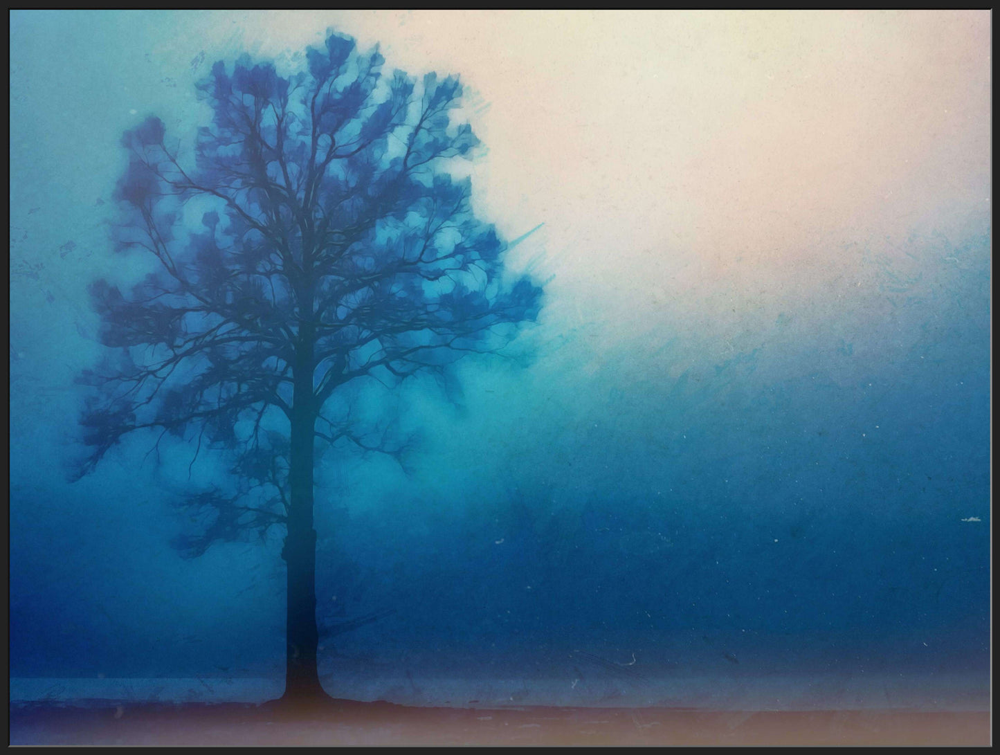 A Lonely Tree