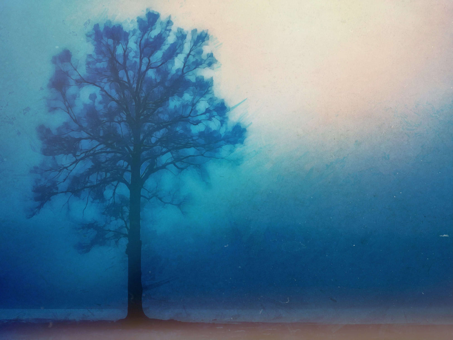 A Lonely Tree