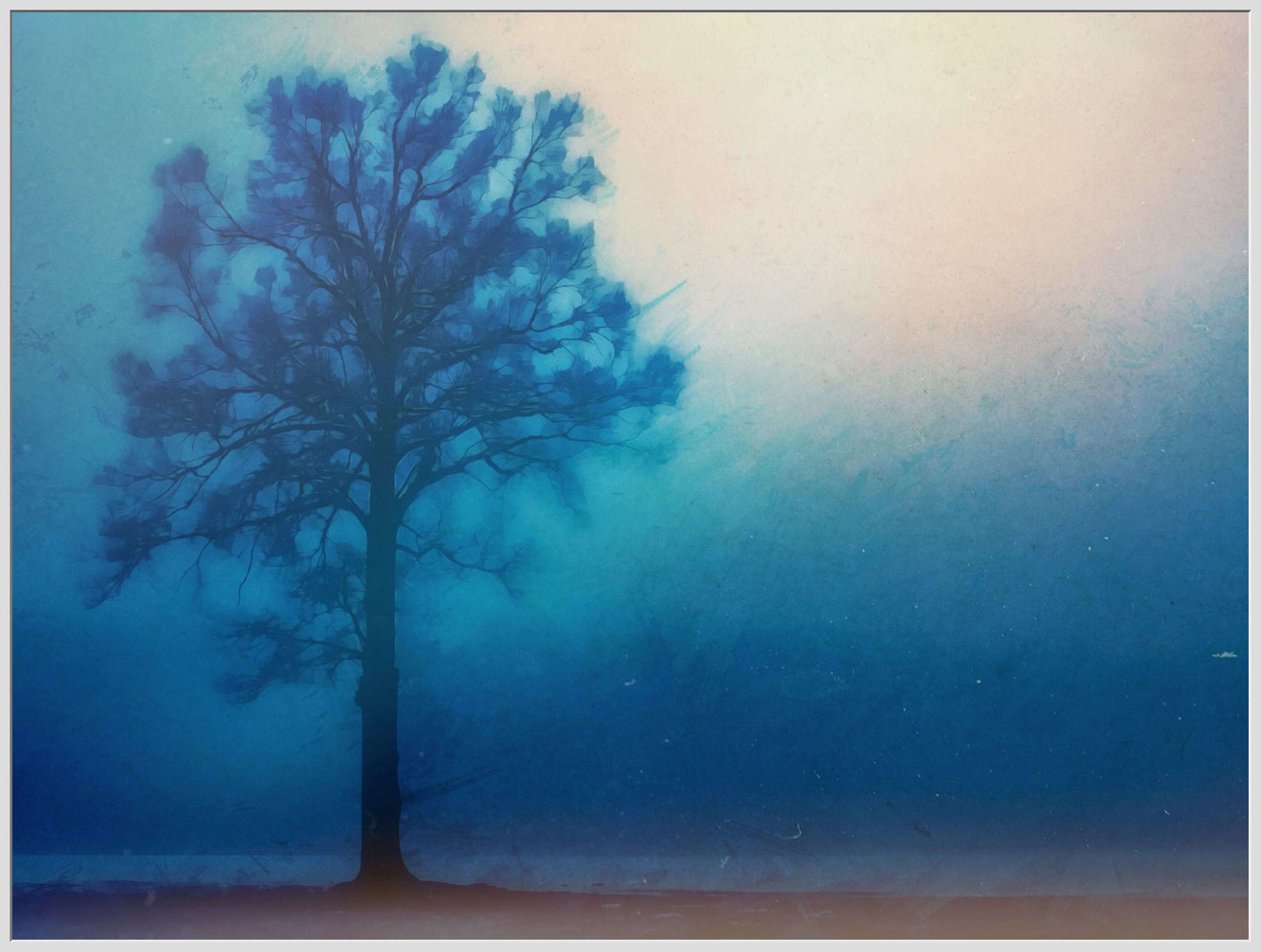 A Lonely Tree