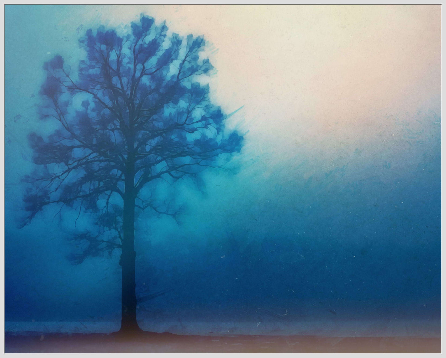 A Lonely Tree