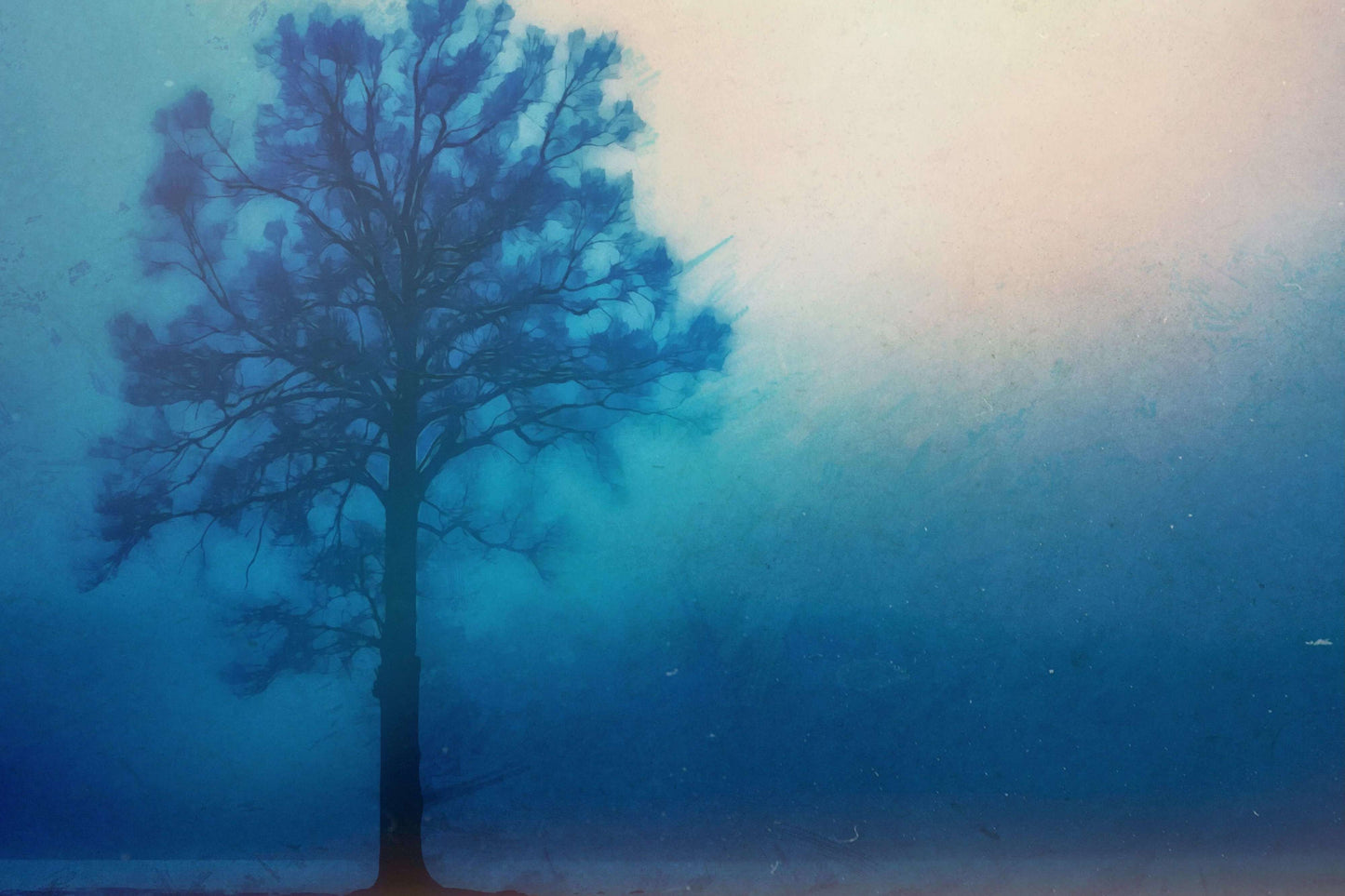 A Lonely Tree