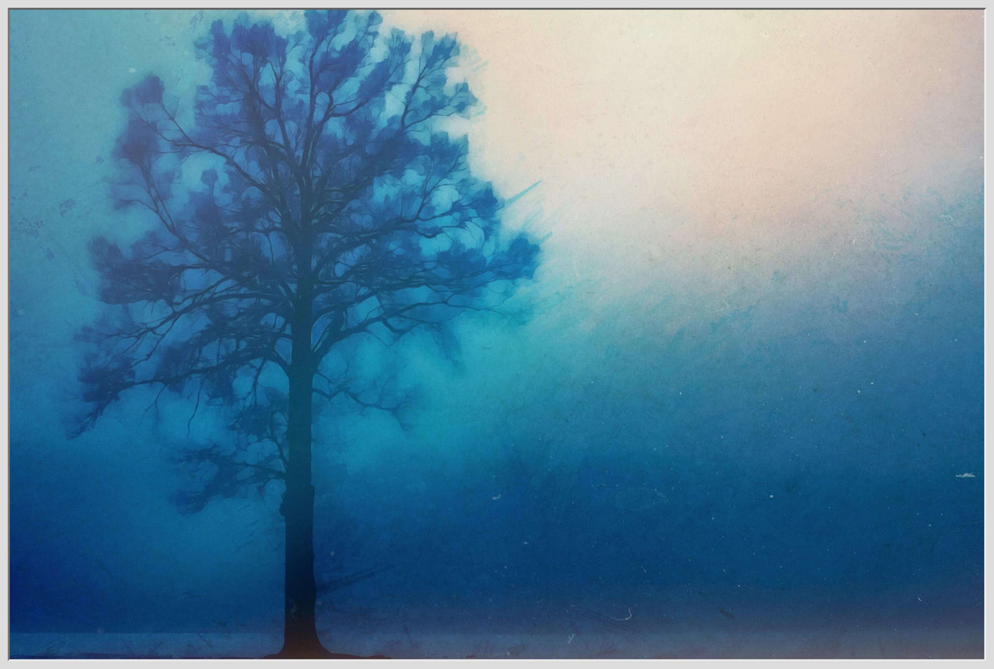 A Lonely Tree