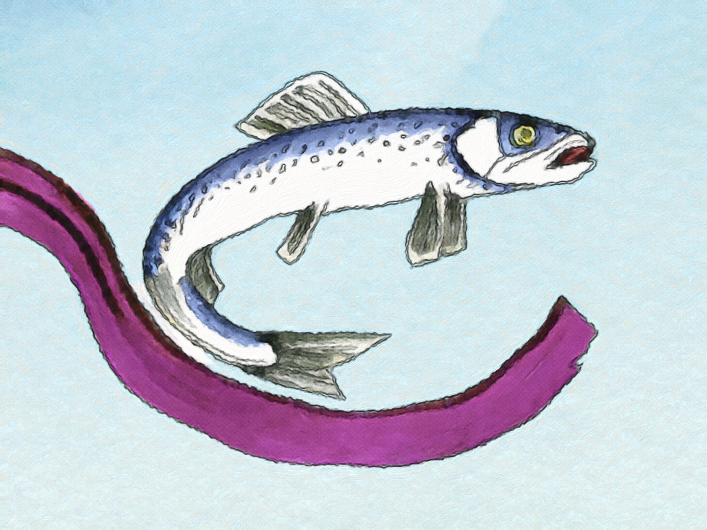 A Herring