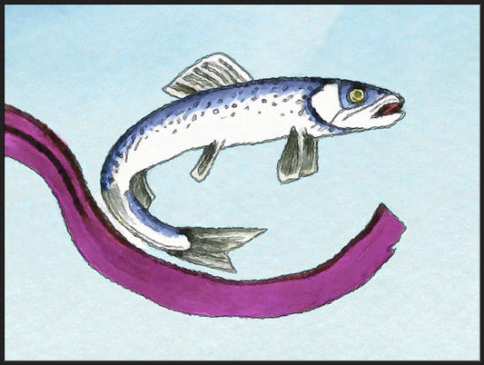 A Herring