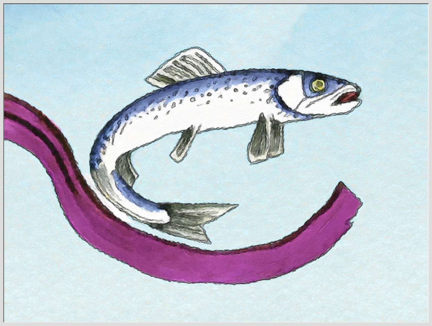 A Herring