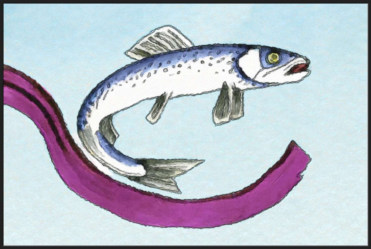 A Herring