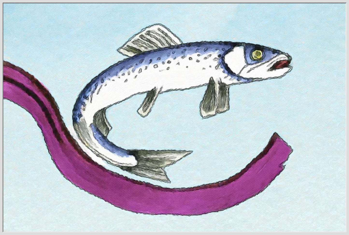 A Herring