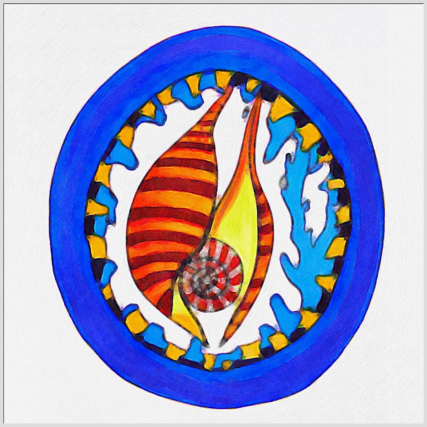 A Mollusk