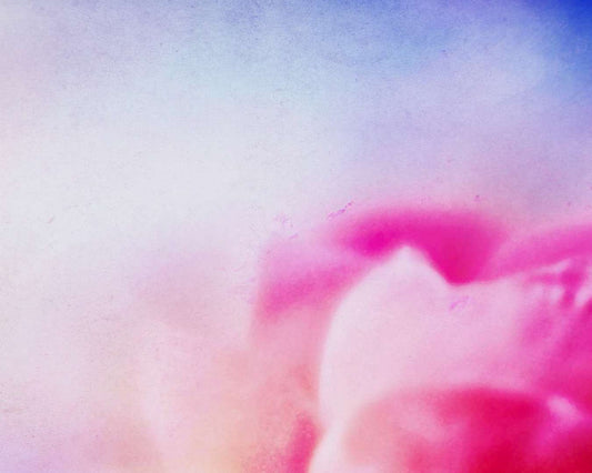 Abstract of Pink Flower