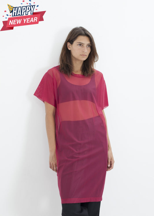 Mesh Over Dress in Pink