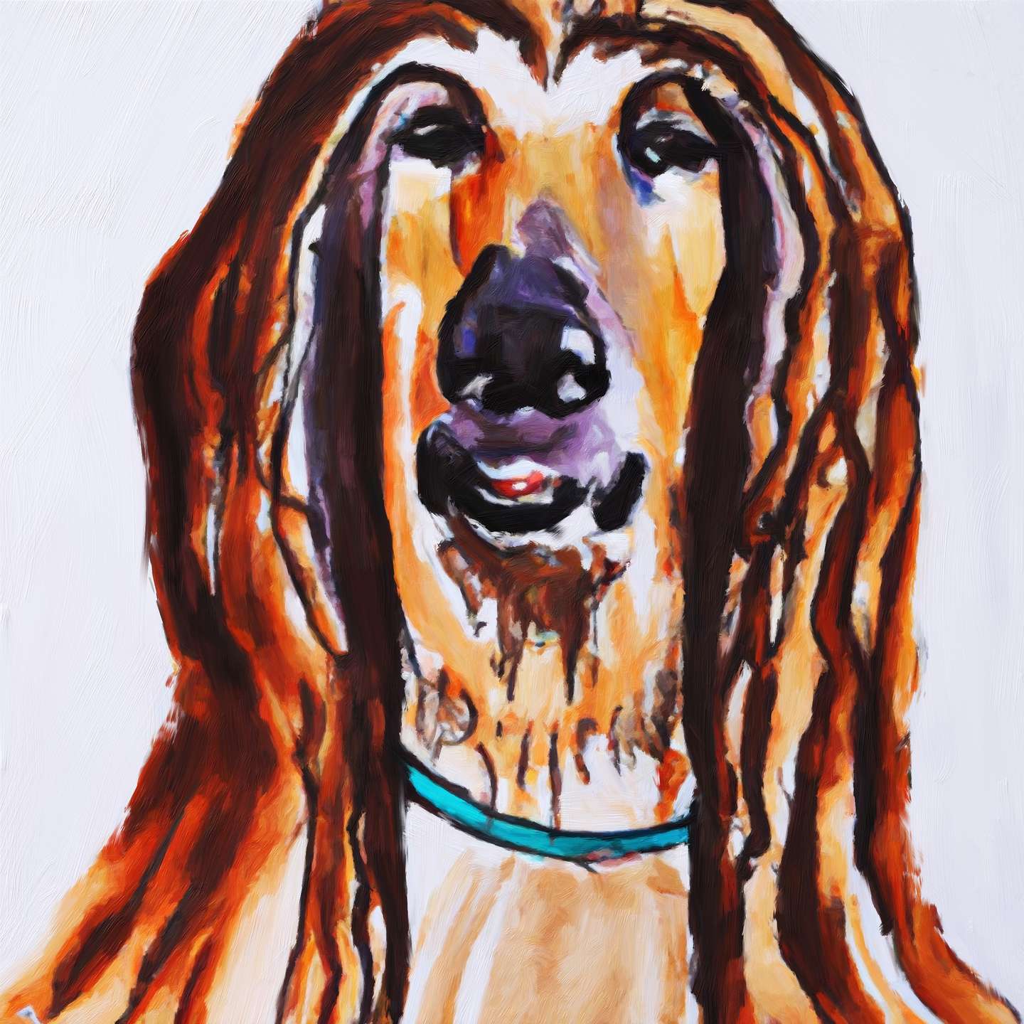 Afghan Hound