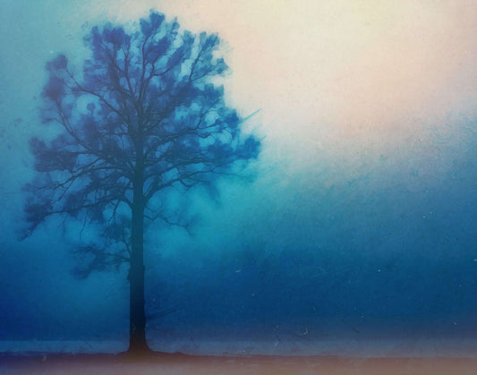 A Lonely Tree