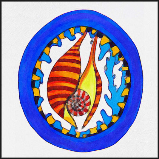 A Mollusk
