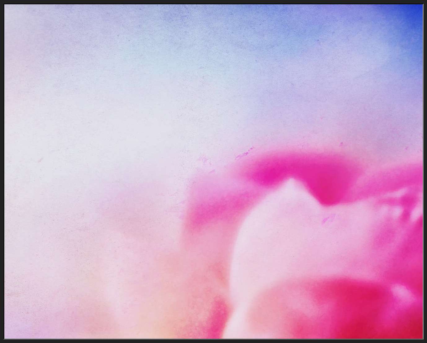 Abstract of Pink Flower