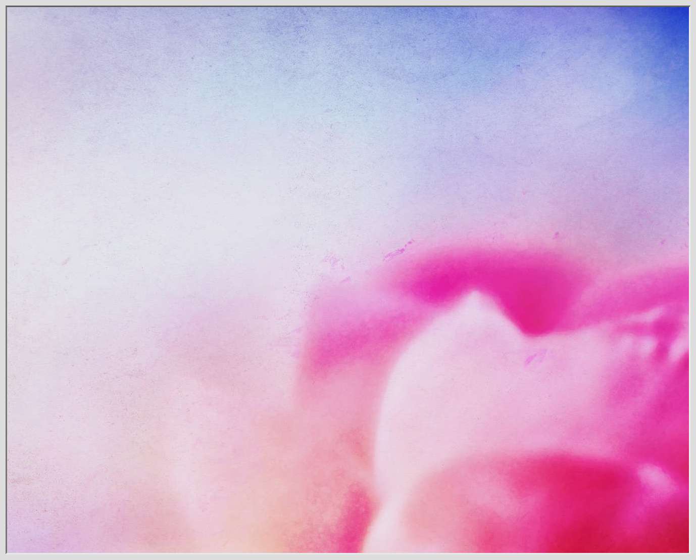 Abstract of Pink Flower