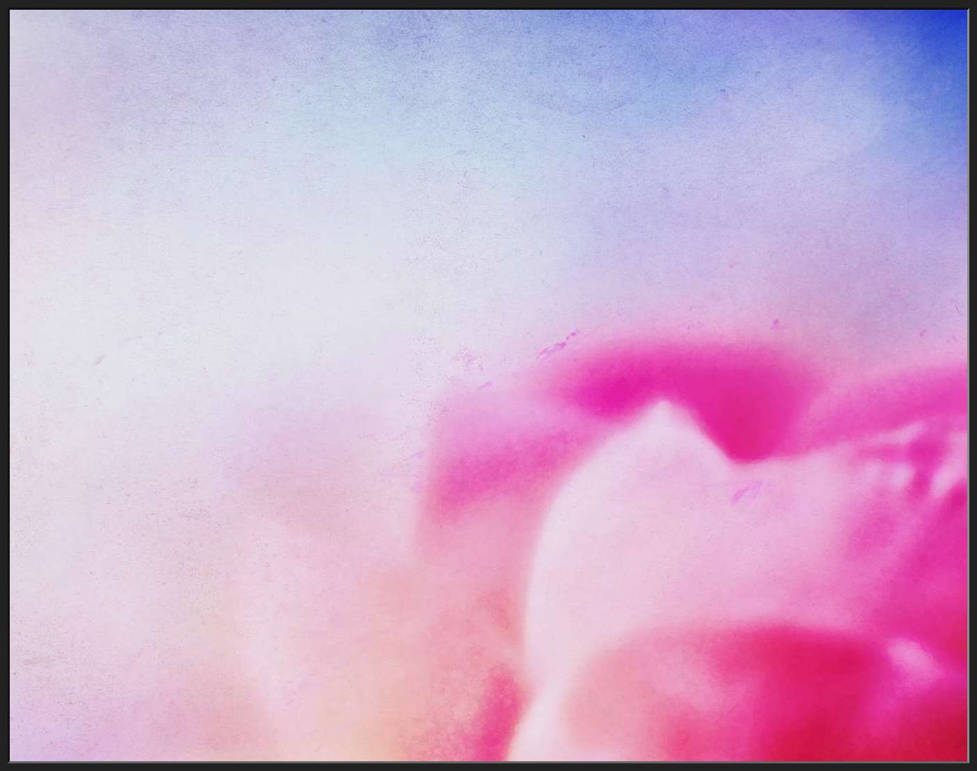 Abstract of Pink Flower