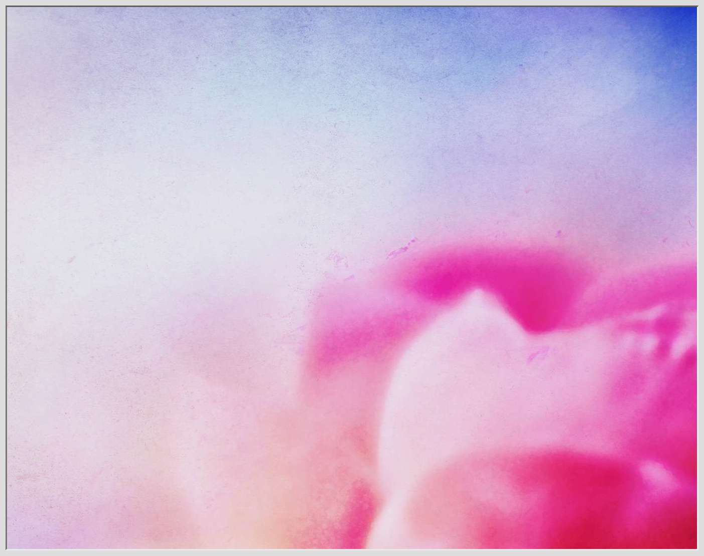 Abstract of Pink Flower