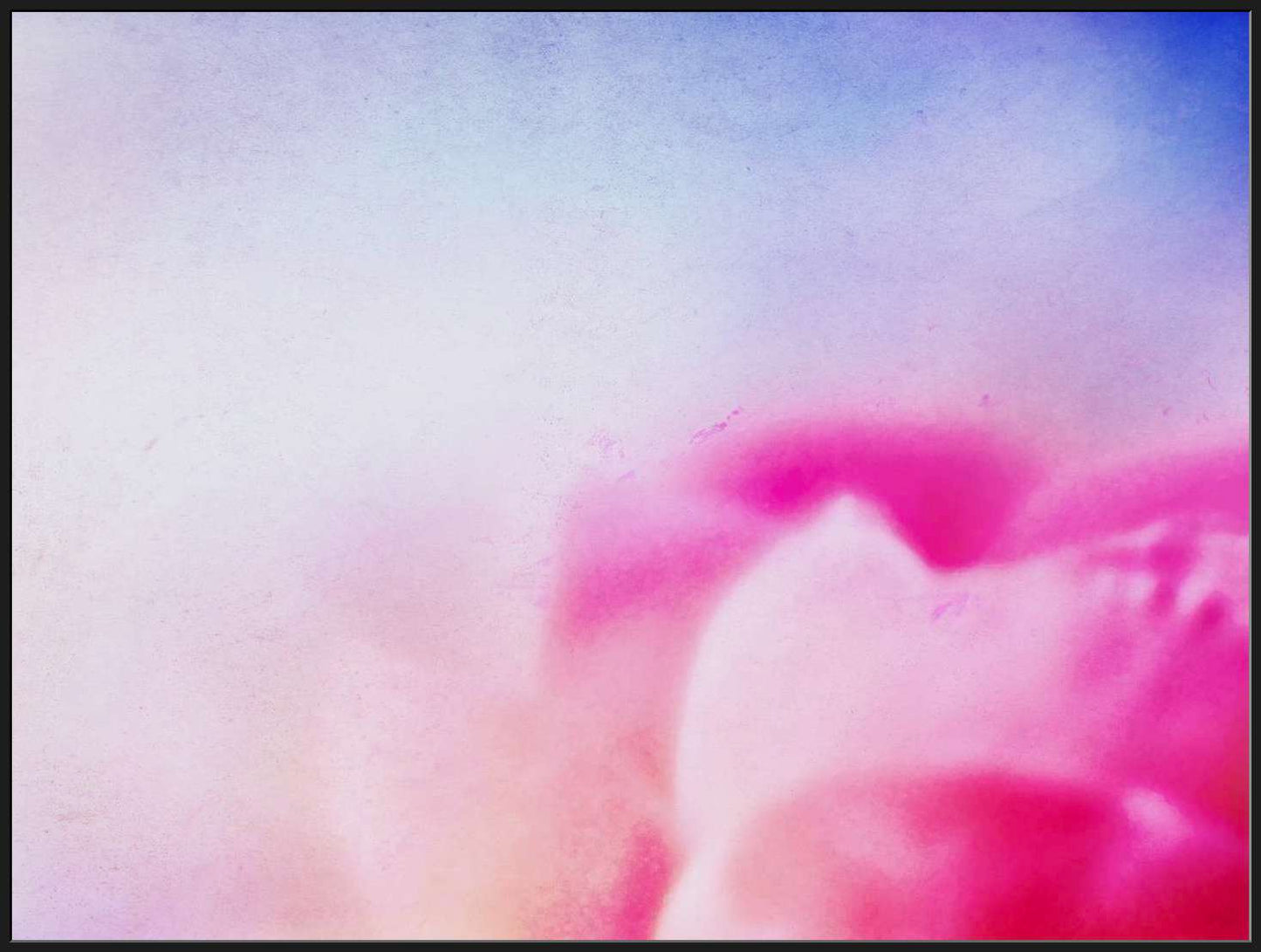 Abstract of Pink Flower