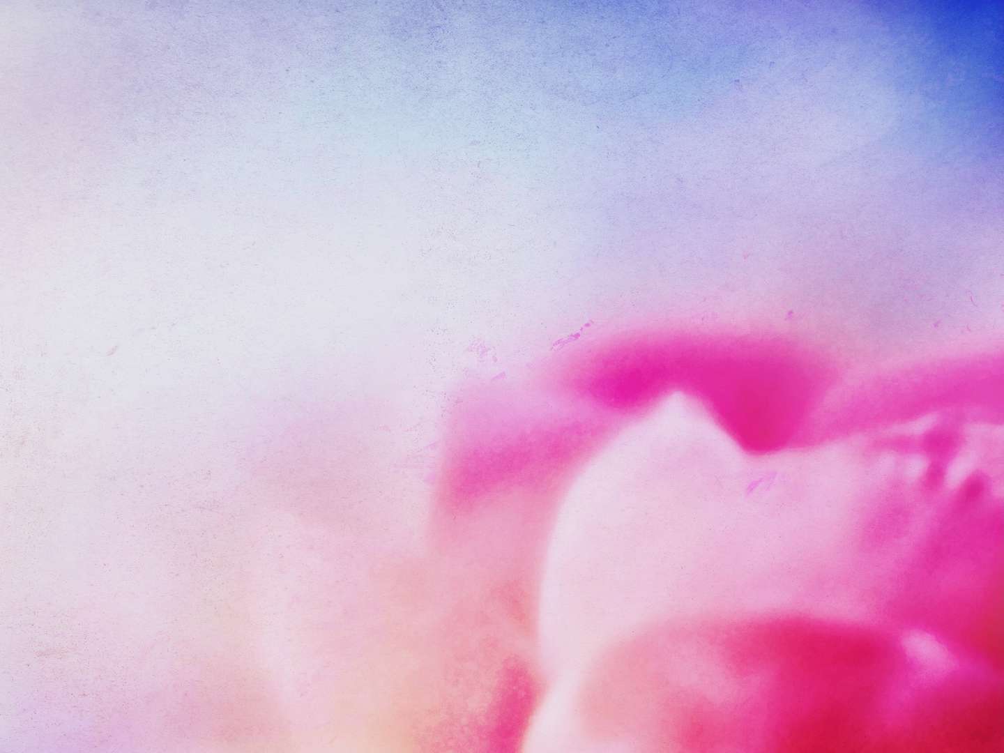 Abstract of Pink Flower