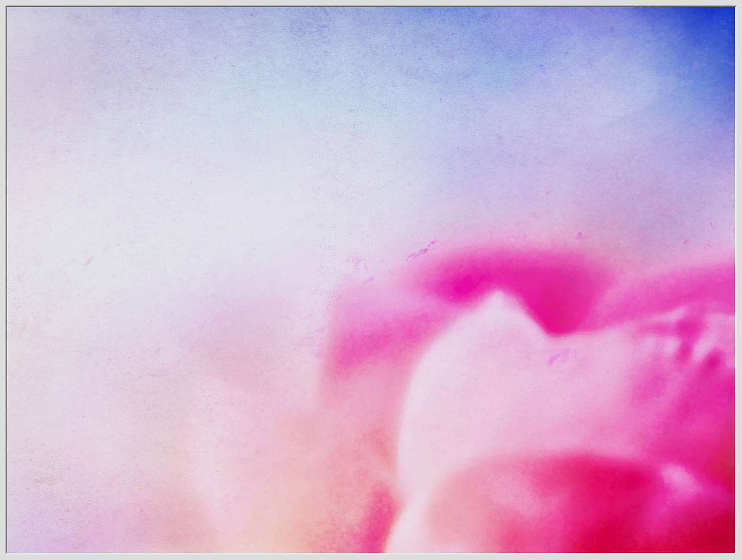 Abstract of Pink Flower