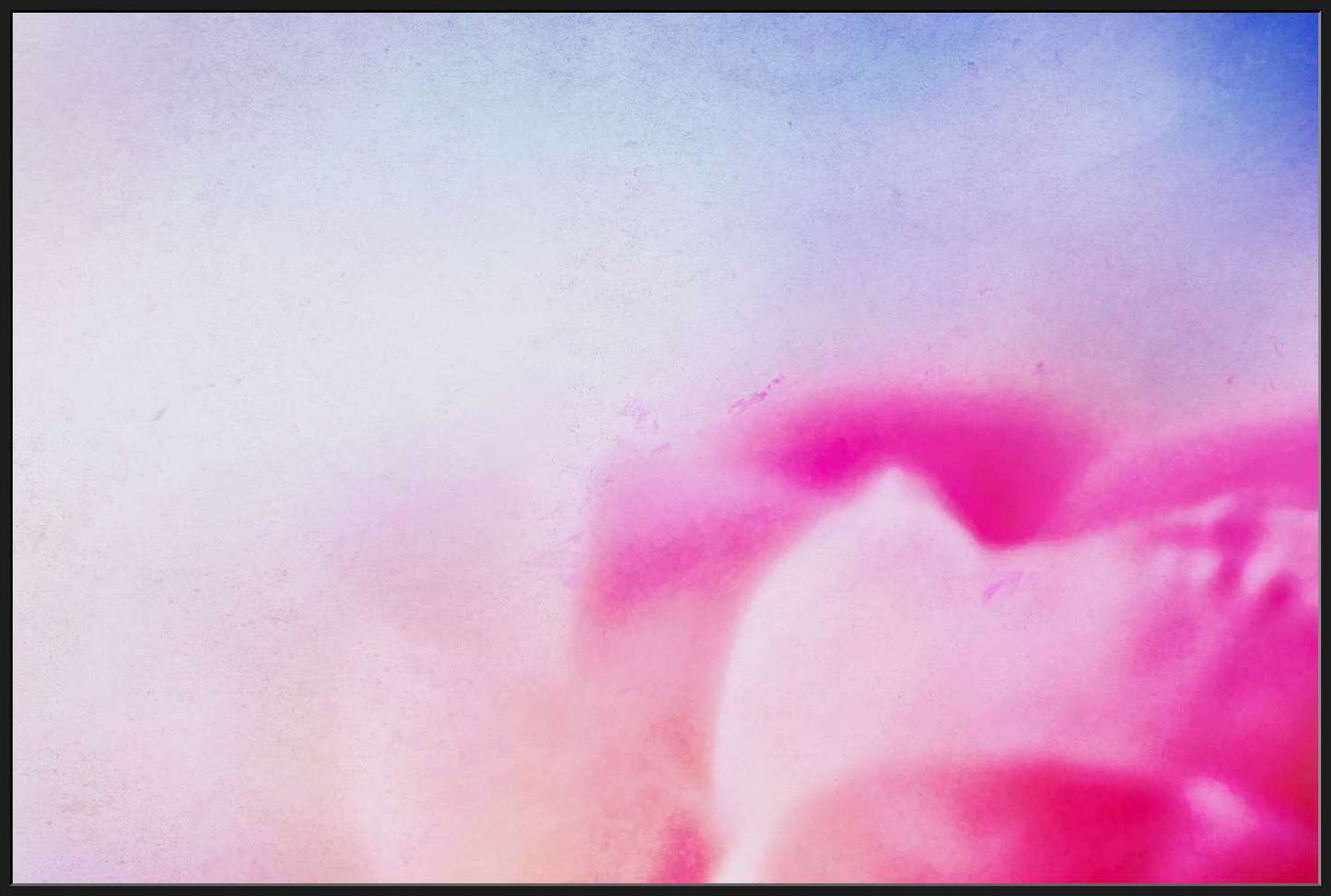 Abstract of Pink Flower