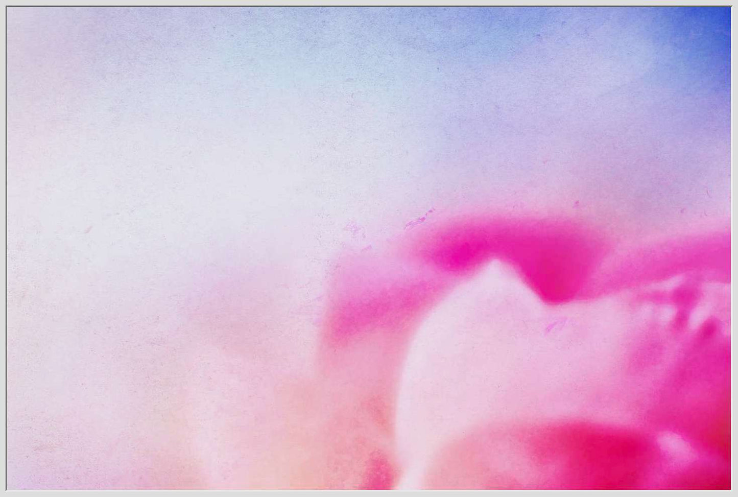 Abstract of Pink Flower