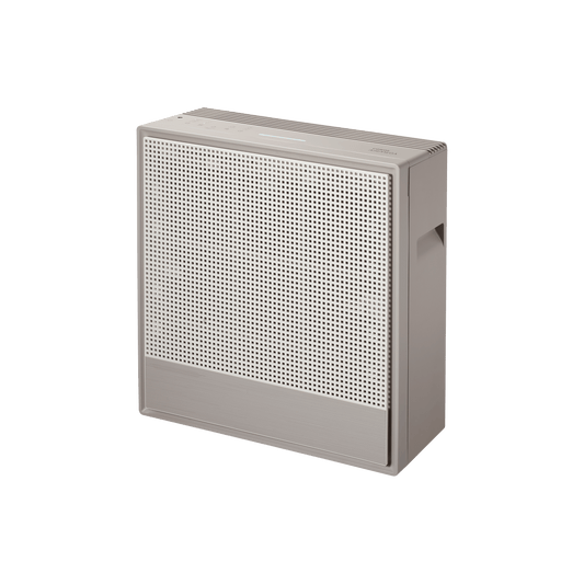 Airmega 250 [Retail]